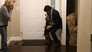 狗狗这十种暴力示爱方式,哪种让你最感动?