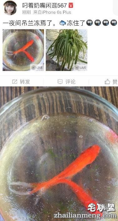 超级霸王寒潮把南方人都冻懵了 还入冬失败？