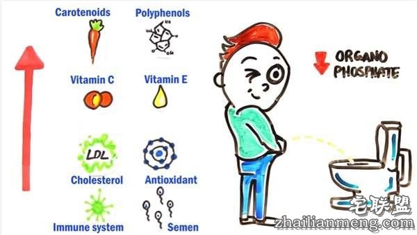这就是为什么“只吃有机蔬果”可能会摧毁地球环境跟你的健康--趣味说
