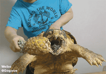 搞笑强:姑娘看样你需要个男人来照顾你了