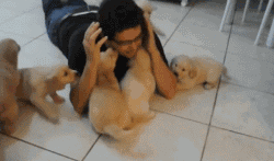 同时养好几只狗狗是一种怎样的体验?你太天真了