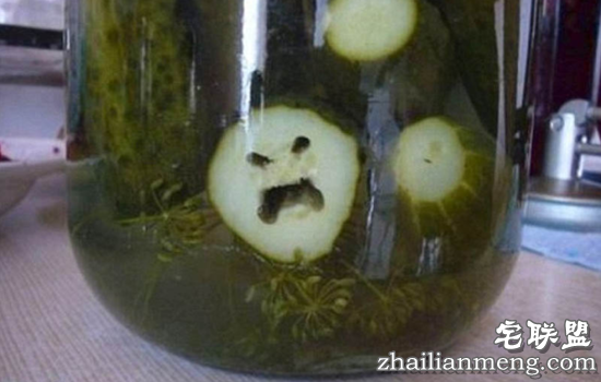 一大波恐怖又幽默的家庭日用品表情包