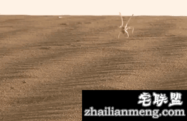 大叔失望的表情令人同情啊哈哈。。。