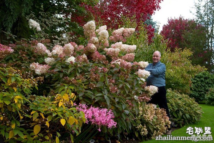 英国爸爸花费25年,打造浪漫秘密花园