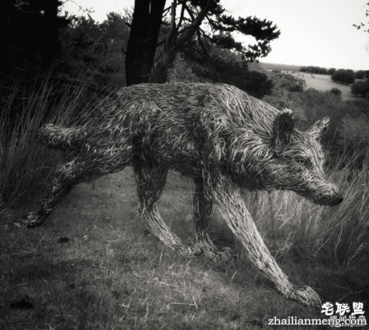 CandiceBees让你惊呆的动物雕塑!