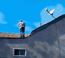 看到你装逼失败,我真的好心疼