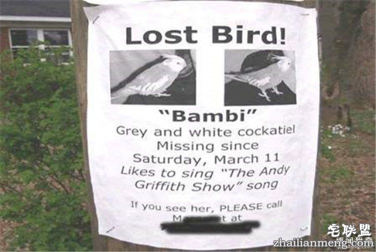 这些外国人太会玩,连找宠物的方式都这么奇特