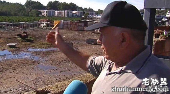 在西班牙用公牛看家要比看家狗效果好! 第2张图片