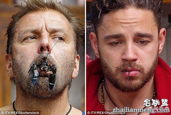 重口味网红:真人秀口含蜘蛛蟑螂