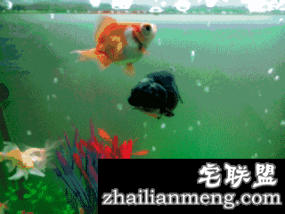 这些让人深信不疑的事情,竟然都是错的…