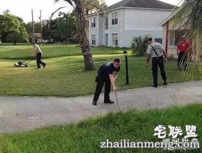 这20张照片, 证明生活还是很美好的!