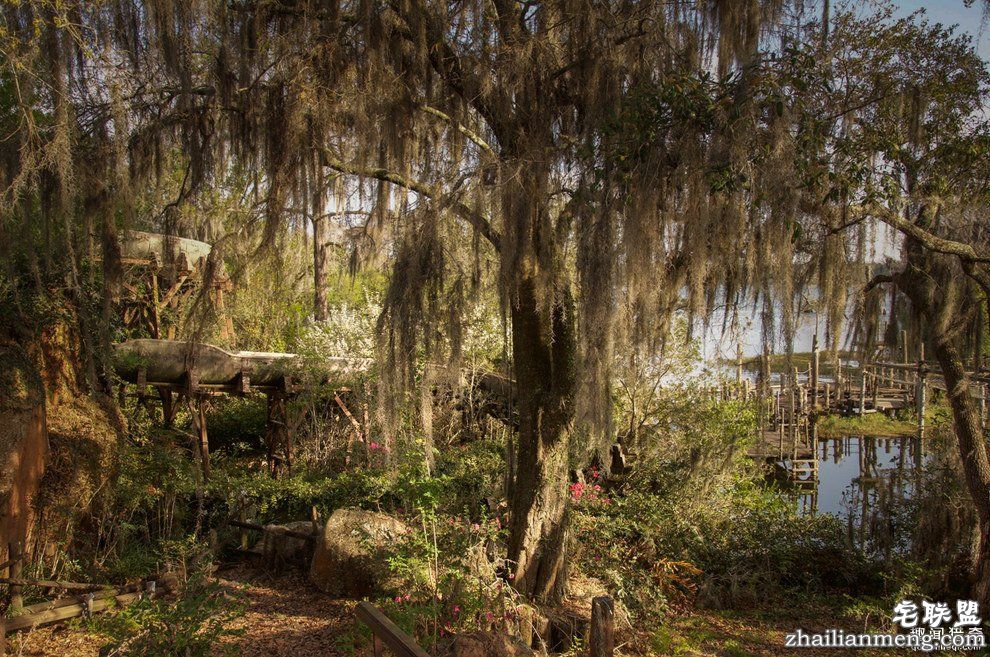 迪士尼水上乐园应该是个很欢乐的地方,但这座已荒废11年的诡异史前丛林园地让人都不敢靠近...