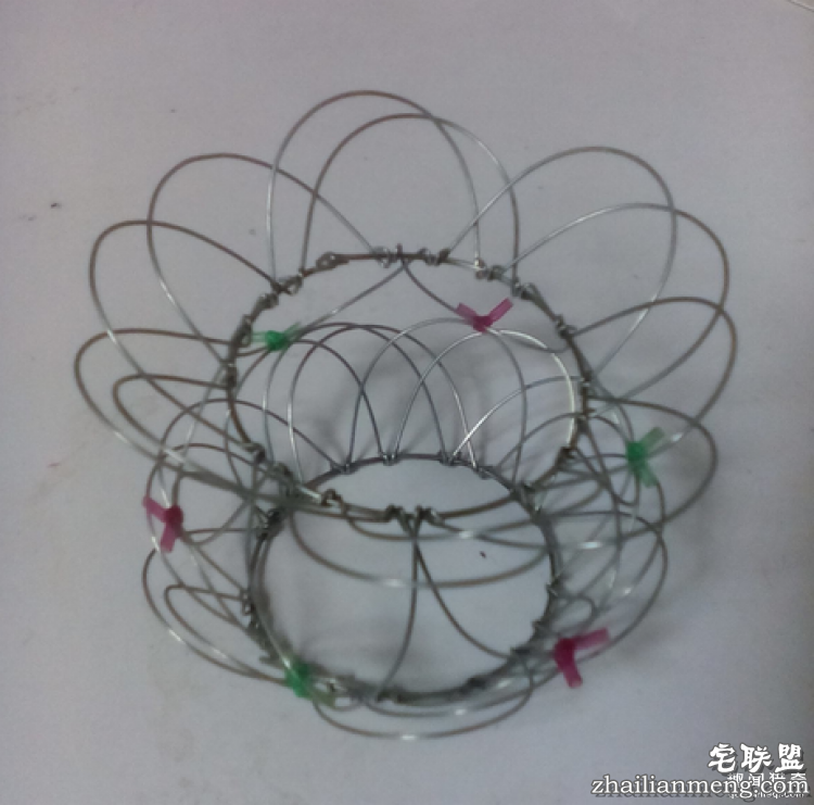 CandiceBees让你惊呆的动物雕塑!