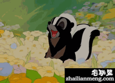 天天放屁,你却不知道的10个“屁知识”!