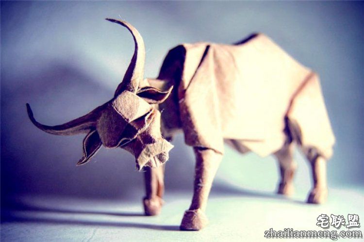 西班牙帅哥音乐家爱折纸,还折出了一个新高度