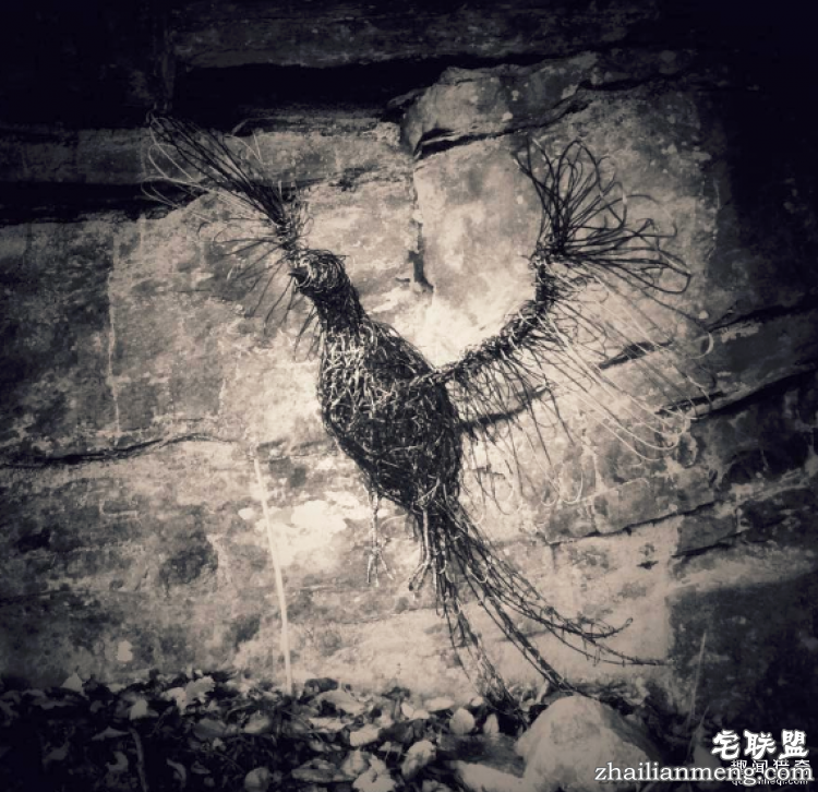 CandiceBees让你惊呆的动物雕塑!