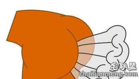 天天放屁,你却不知道的10个“屁知识”!