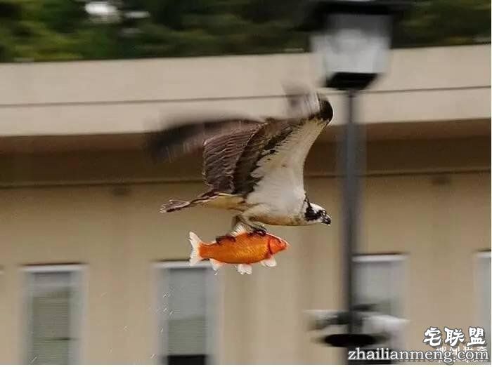 照片神吐槽,看着看着就笑了!