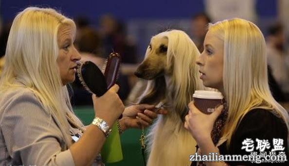 搞笑趣图:他们长得这么像, 真的不是故意的!