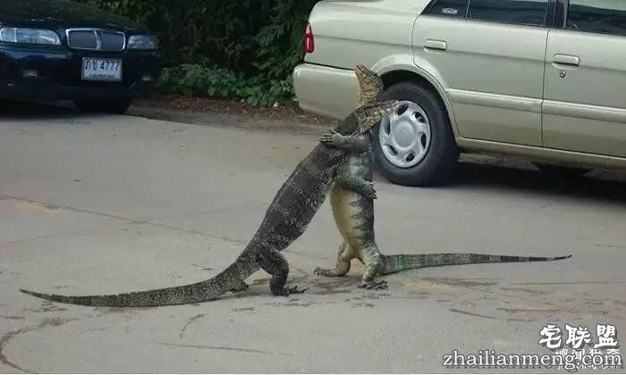 照片神吐槽,看着看着就笑了!