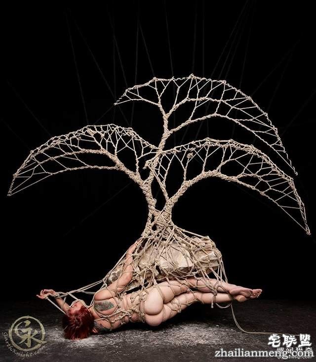 捆绑艺术家用绳索绑出超美一幅画