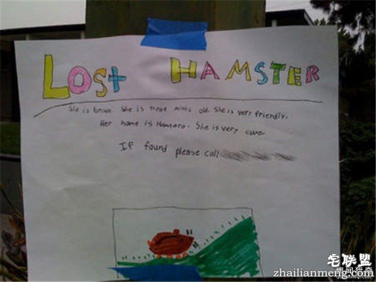 这些外国人太会玩,连找宠物的方式都这么奇特