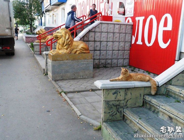 所谓的天时地利人和,说的就是这些照片