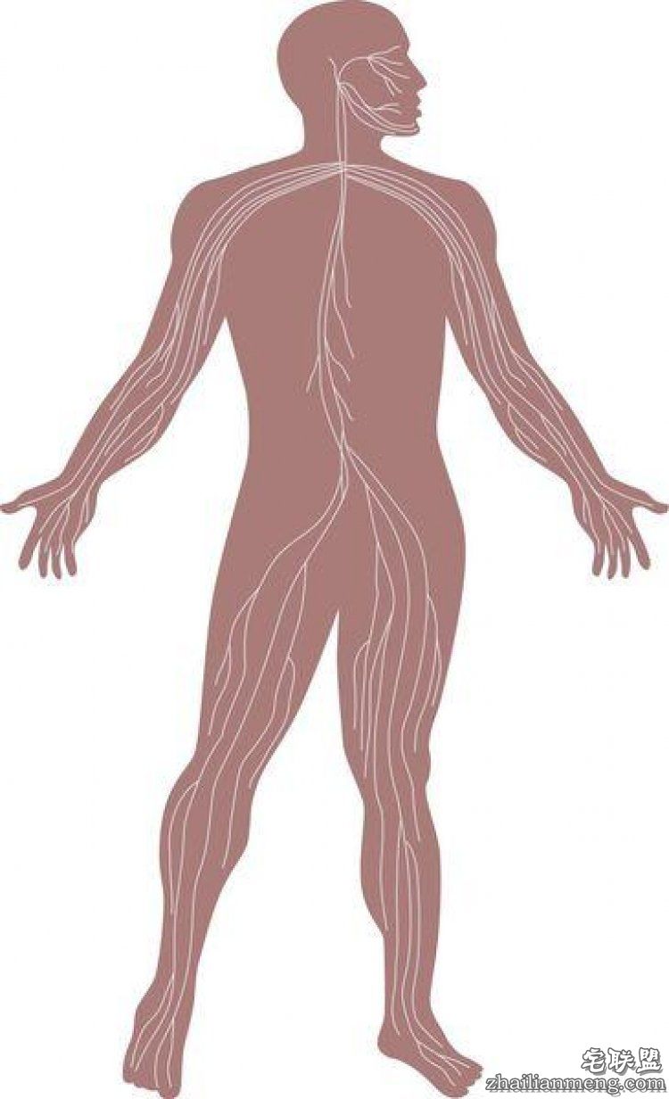 【真相帝】为什么洗澡太久手指会起皱?