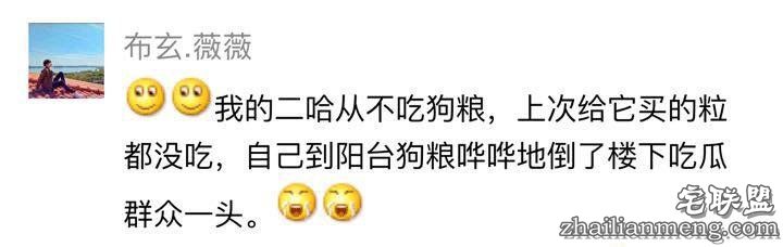 每个养哈士奇的主人，内心都住着一个喜剧之王