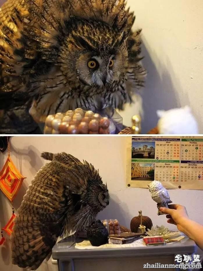 照片神吐槽,看着看着就笑了!