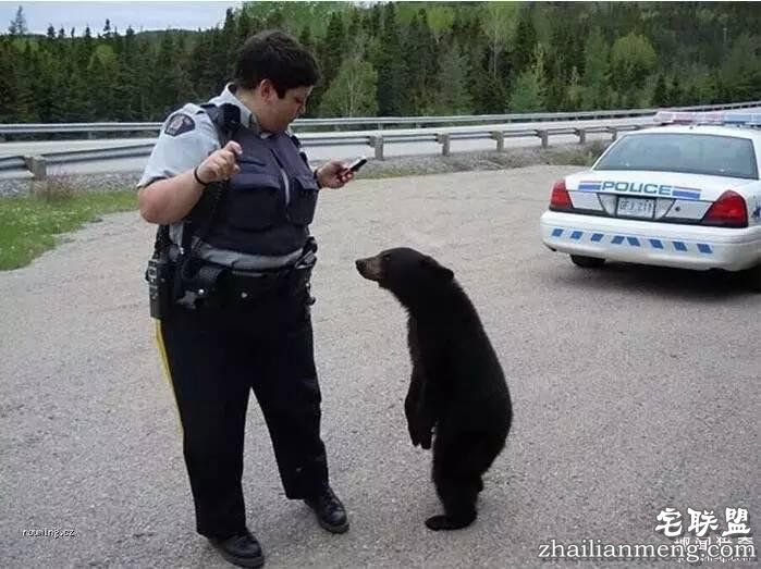 照片神吐槽,看着看着就笑了!