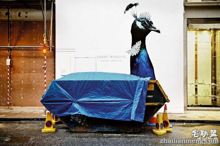 所谓的天时地利人和,说的就是这些照片