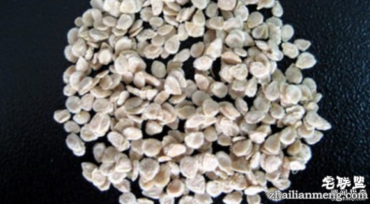 西红柿到底是蔬菜还是水果呢?