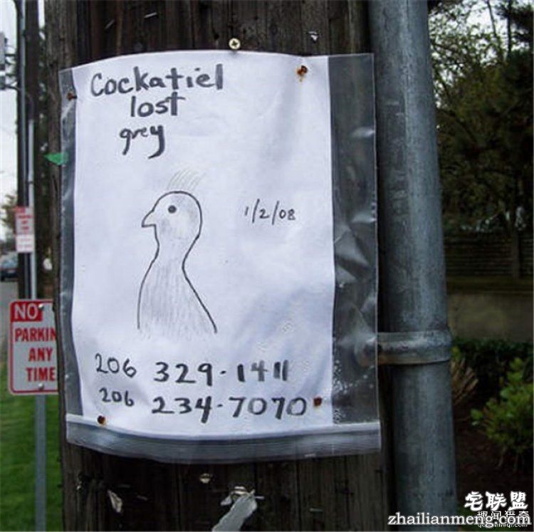 这些外国人太会玩,连找宠物的方式都这么奇特