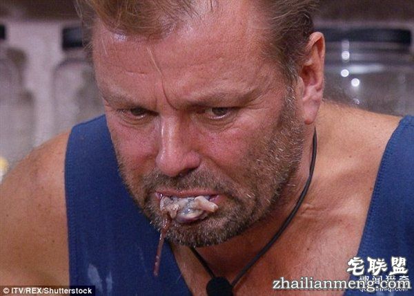 重口味网红:真人秀口含蜘蛛蟑螂