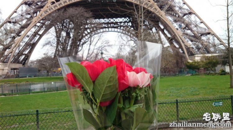 他一年内跑20场马拉松,疯狂的背后只为了故去的妻子