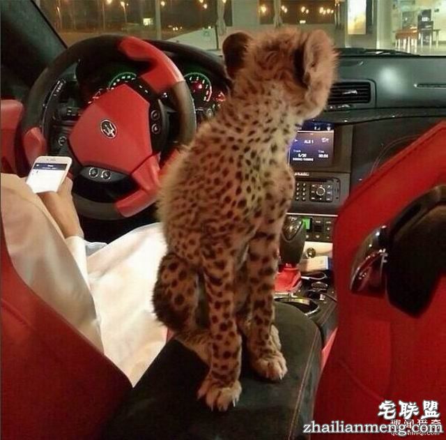 那些年刺痛我们双眼的炫富行为 IG上的各国炫富狂潮