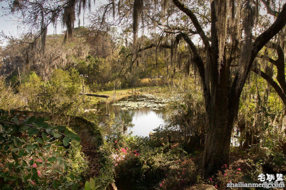 迪士尼水上乐园应该是个很欢乐的地方,但这座已荒废11年的诡异史前丛林园地让人都不敢靠近...