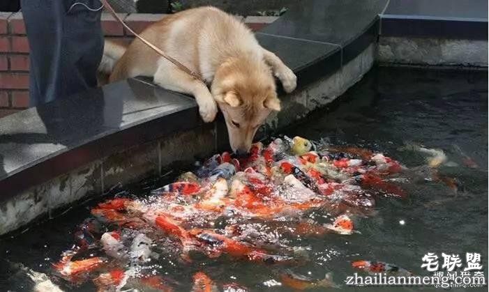 照片神吐槽,看着看着就笑了!