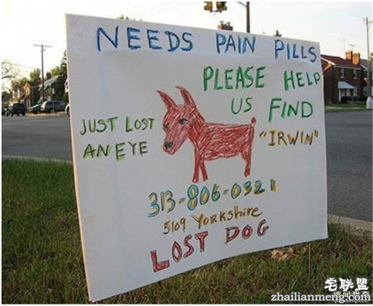 这些外国人太会玩,连找宠物的方式都这么奇特