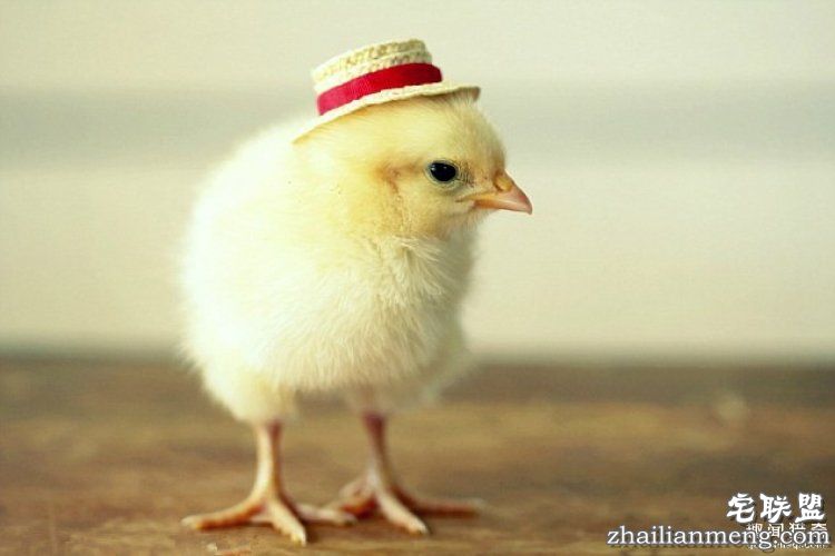 别忽略这些蓝领职业,他们可能是你收入的十几倍!