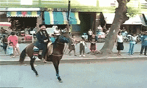 看到你装逼失败,我真的好心疼