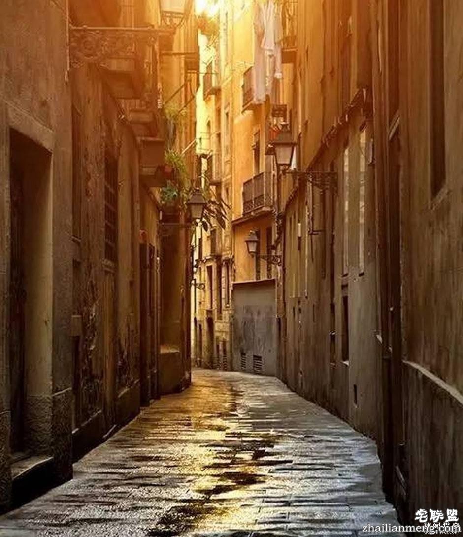 既然赖床这么舒服,为什么我们必须坚持早起?!