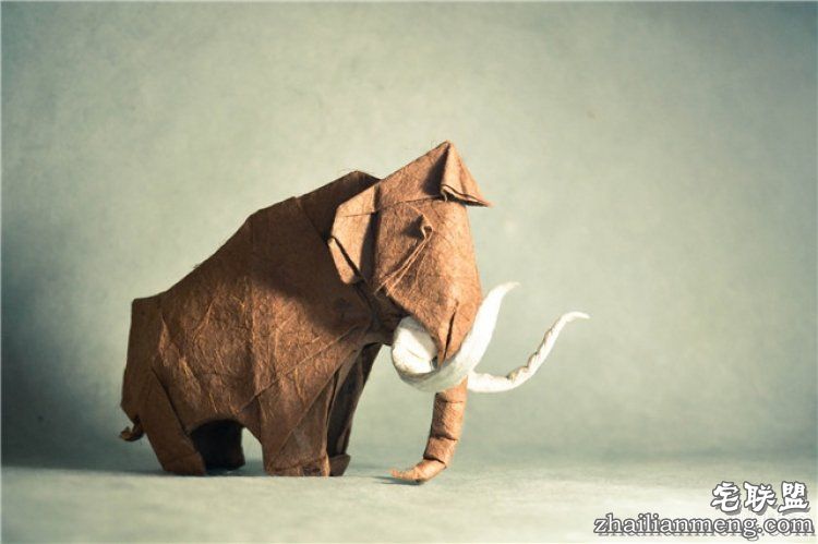 西班牙帅哥音乐家爱折纸,还折出了一个新高度