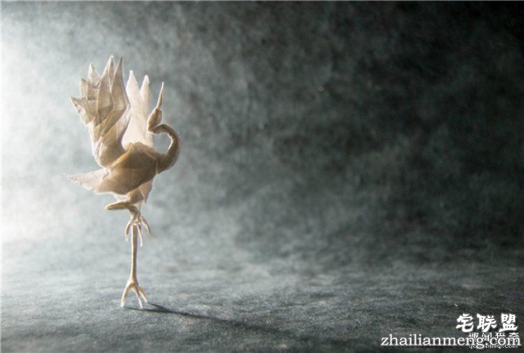 西班牙帅哥音乐家爱折纸,还折出了一个新高度