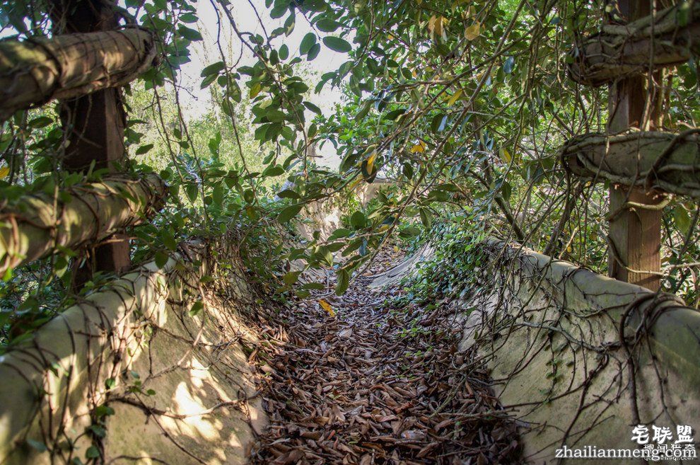 迪士尼水上乐园应该是个很欢乐的地方,但这座已荒废11年的诡异史前丛林园地让人都不敢靠近...