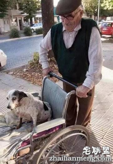 这20张照片, 证明生活还是很美好的!