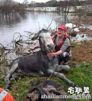 这20张照片, 证明生活还是很美好的!