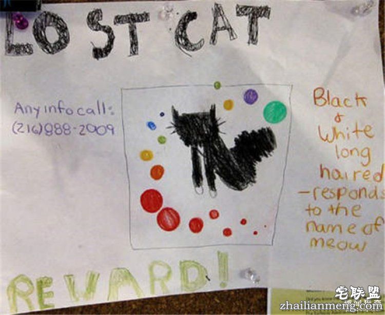 这些外国人太会玩,连找宠物的方式都这么奇特