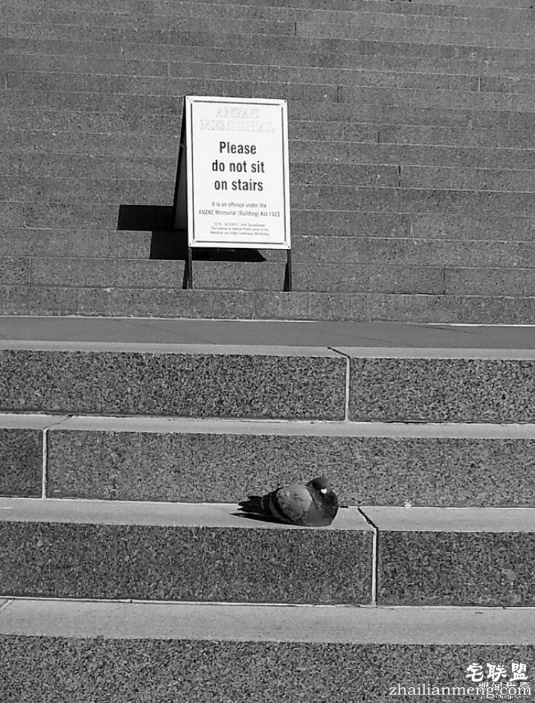 所谓的天时地利人和,说的就是这些照片